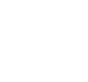 Enphase Logo White